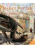 Harry Potter și Pocalul de Foc, ediție ilustrată